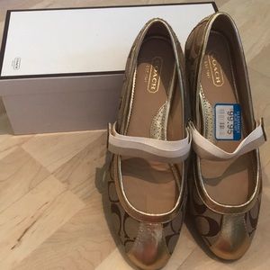 Brand new coach flat